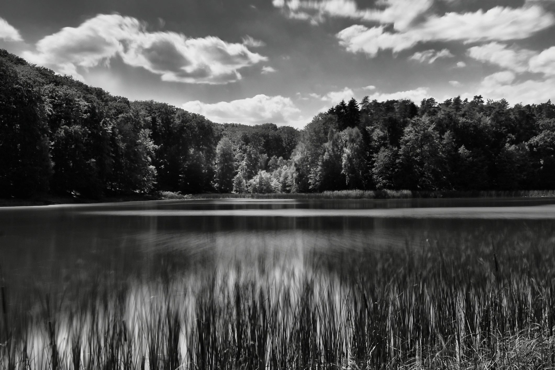 Black and white forest lake landscape