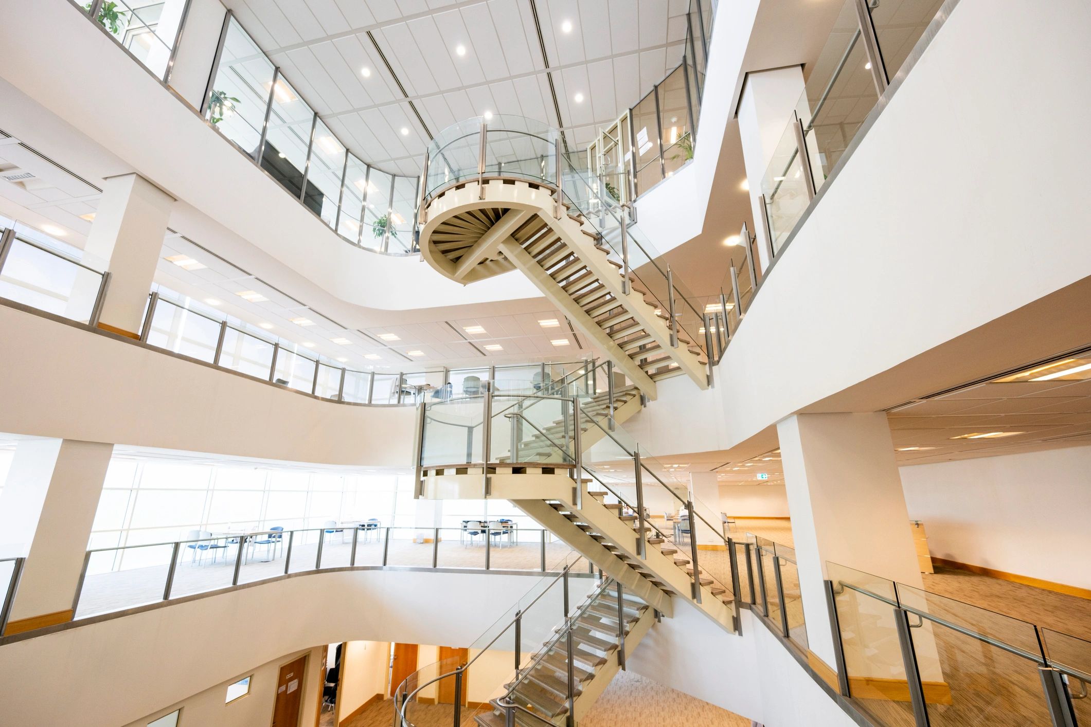 Modern library interior with clean architectural lines