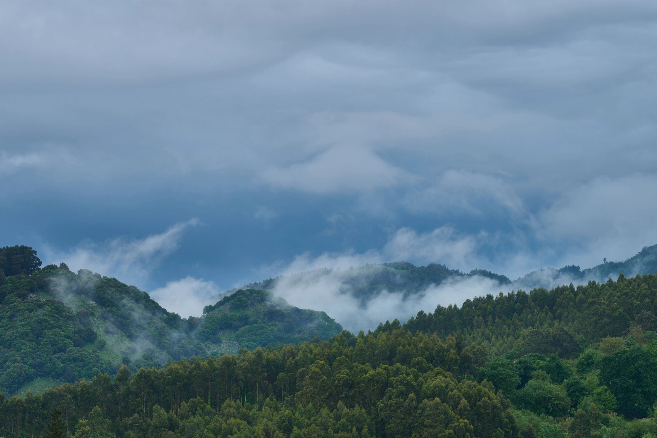 Green forested mountains with mist and moody sky